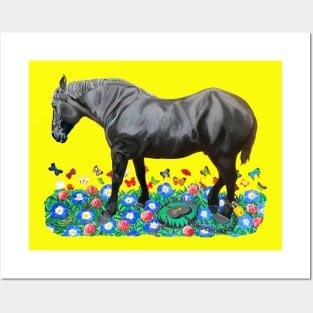 A Beautiful Horse Posters and Art